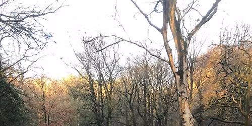 \u2728 FREE Family Winter Solstice Walk \u2013 Join Us! \u2728