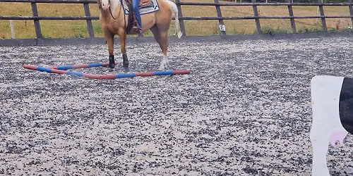 Versatility Trail Clinic