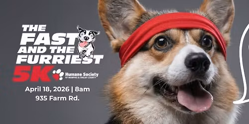 The Fast and The Furriest 5k