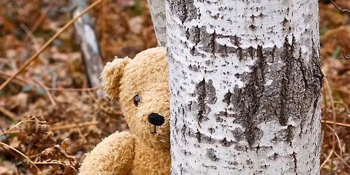 Newton Ikes-Kids Bear Hunt (members only)