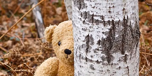 Newton Ikes-Kids Bear Hunt (members only)
