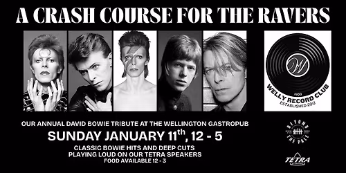A Crash Course For The Ravers.........A BOWIE CELEBRATION