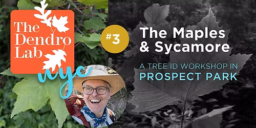 Maple & Sycamore Workshop in Prospect Park