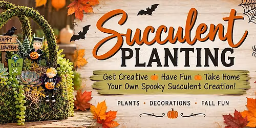 Planting Succulents in a Moss Purse Spooky Style!