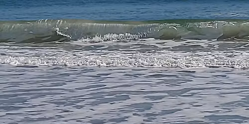 Friends & Family 2025