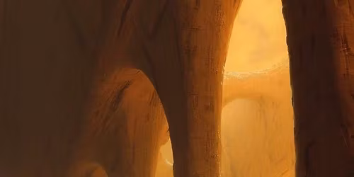 Beyond. L\u00e9lek-Intelligencia Folyamatok