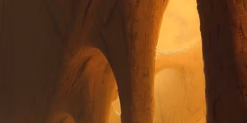 Beyond. L\u00e9lek-Intelligencia Folyamatok