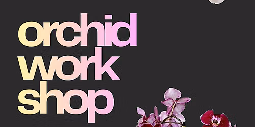 Orchid Workshop at Stormhouse Brewing