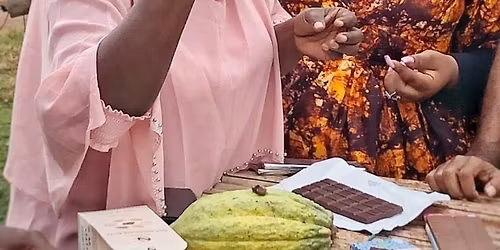 The Matriarch\u2019s Verse Experience 2025 - This is Not a Forum