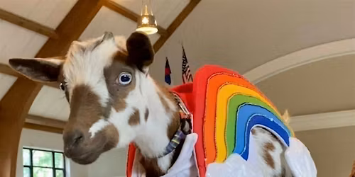 PRIDE Baby Goat Yoga in Arlington