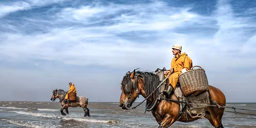 \u201eArbeiter des Meeres\u201c - Fotovortrag von Rolf Nobel
