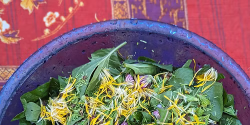 Wild Salad - Food Foraging Experience (#2)