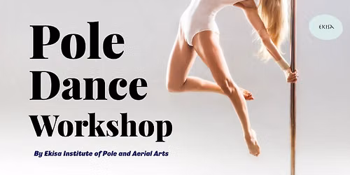 Pole dance beginner workshop