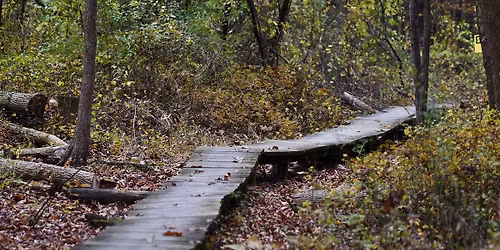 Prairie Sampler and Trail Workday