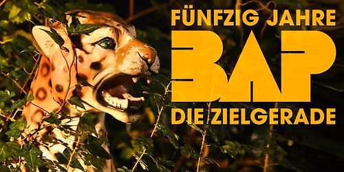 BAP - F\u00fcnfzig Jahre - Die Zielgerade | Wien