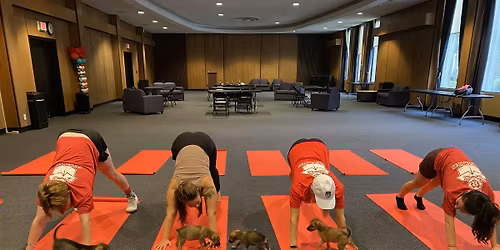 Puppy Pilates