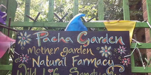 The BIG GREEN Soup !!! Power Pack Veggie Lunch ..Free Seeds!