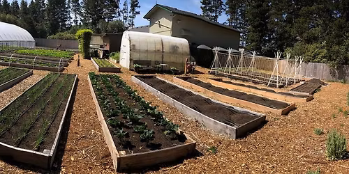 Free Compost Workshop & Soil pH Testing in Florence! 