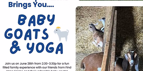 Baby Goats & Yoga