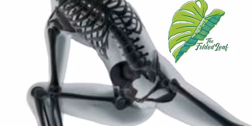 Yoga for Bone Health and Osteoporosis Prevention with Randy Boyd