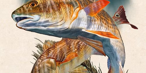 386 Team Redfish Tournament