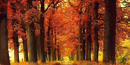 Autumn Equinox Party