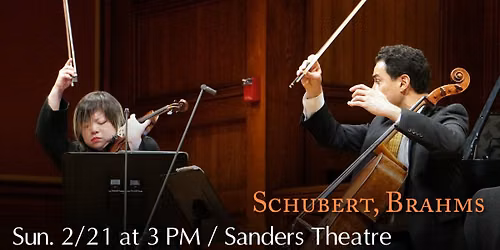 Schubert, Brahms