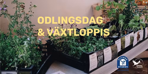Odlingsgl\u00e4dje i Storkriket: V\u00e4xtloppis & Klappret 