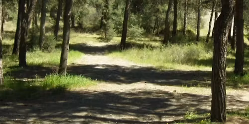 28\/12 \u03a0\u03b5\u03b6\u03bf\u03c0\u03bf\u03c1\u03af\u03b1 \u03c3\u03c4\u03bf \u03a3\u03ad\u03b9\u03c7 \u03a3\u03bf\u03c5 - \u03a4\u03b5\u03bb\u03b5\u03c5\u03c4\u03b1\u03af\u03b1 \u03c4\u03b7\u03c2 \u03c7\u03c1\u03bf\u03bd\u03b9\u03ac\u03c2 - Discovery Trail