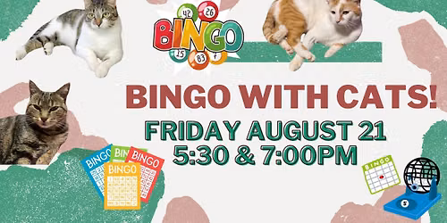 Bingo with Cats! August 21, 2026