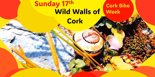 Wild Walls of Cork City