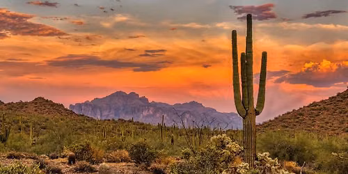 Phoenix Draft Experience - All Skill Levels Co-ed Beer League Adult Hockey Draft Tournament
