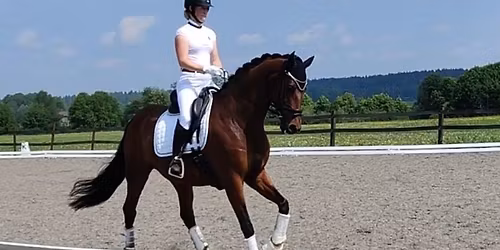 Laura Haasalan istunta- ja koulukurssit