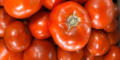 Cooking Seasonally with Farm Fresh Foods!