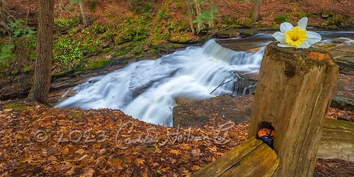 Spring Lakes and Waterways Photo Tour w\/ Carl Heilman