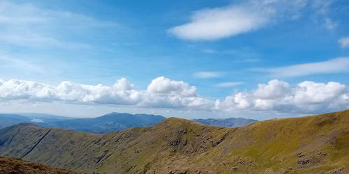 Fairfield Horseshoe