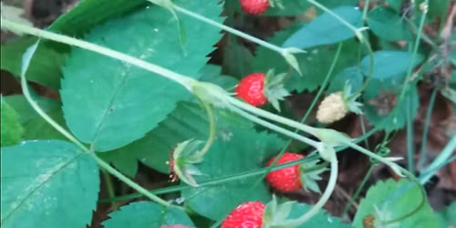 RaTka z Kochaneczk\u0105