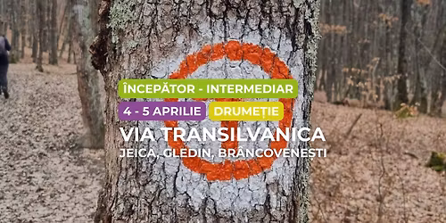 Drume\u021bie \u00eencep\u0103tor - intermediar: Via Transilvanica: Jeica - Gledin - Br\u00e2ncovene\u0219ti