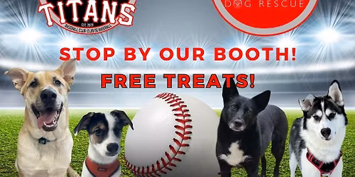 BARK IN THE PARK