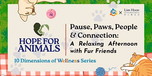 Pause, Paws, People & Connection: An Afternoon with Fur Friends