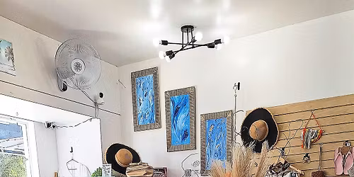 Boutiques, Bubbles & Bites- A Tour of Sarasota