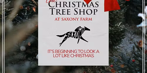 The Christmas Tree Shop at Saxony Farm