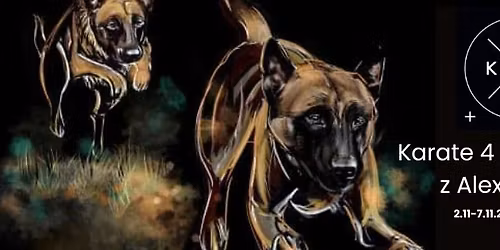 Karate 4 Dogs Camp z Alexem Lato \ud83e\udd4b4\ufe0f\u20e3\ud83d\udc15