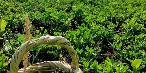 \u062d\u0635\u0627\u062f \u0627\u0644\u062a\u0648\u062a 