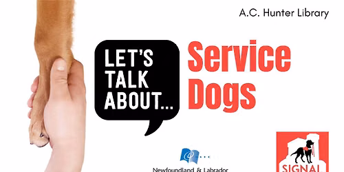 Let's Talk About: Service Dogs