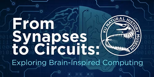 From Synapses to Circuits: Exploring Brain-Inspired Computing