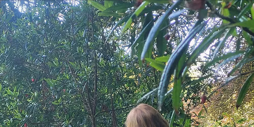 Creative Writing to celebrate the Spring Equinox