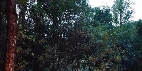1\u00ba Encontro Bushcraft Algarvio