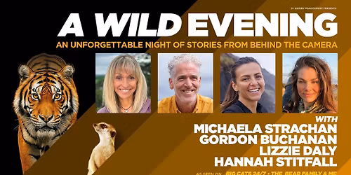 A Wild Evening