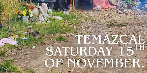 Purification Temazcal ( last one of the year)